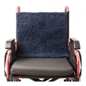 Wheelchair Back Protector
